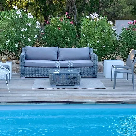 In The Maquis Near Palombaggia *